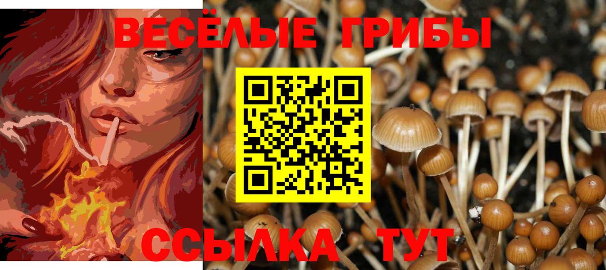 Псилоцибиновые грибы мицелий Ангарск
