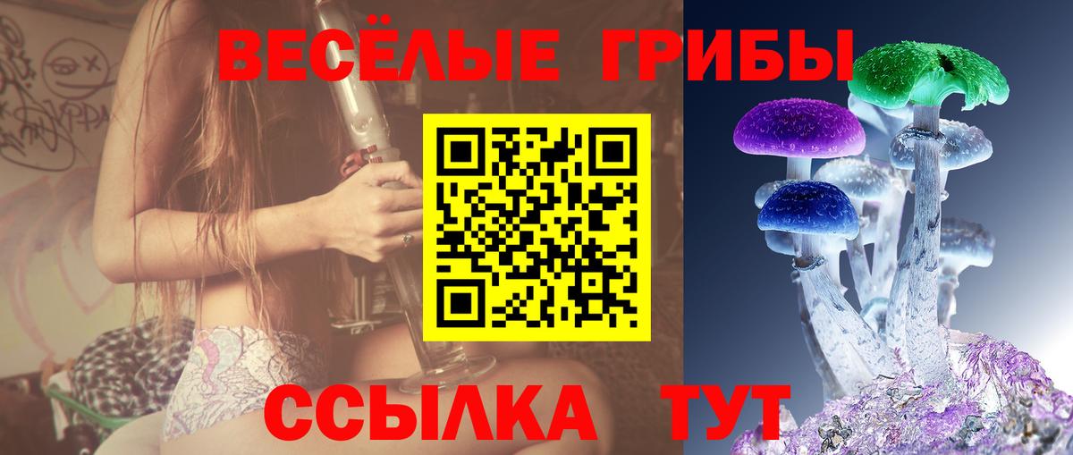 Галлюциногенные грибы Psilocybe  Галлюциногенные грибы прущие грибы  Вход с VPN  Ангарск 